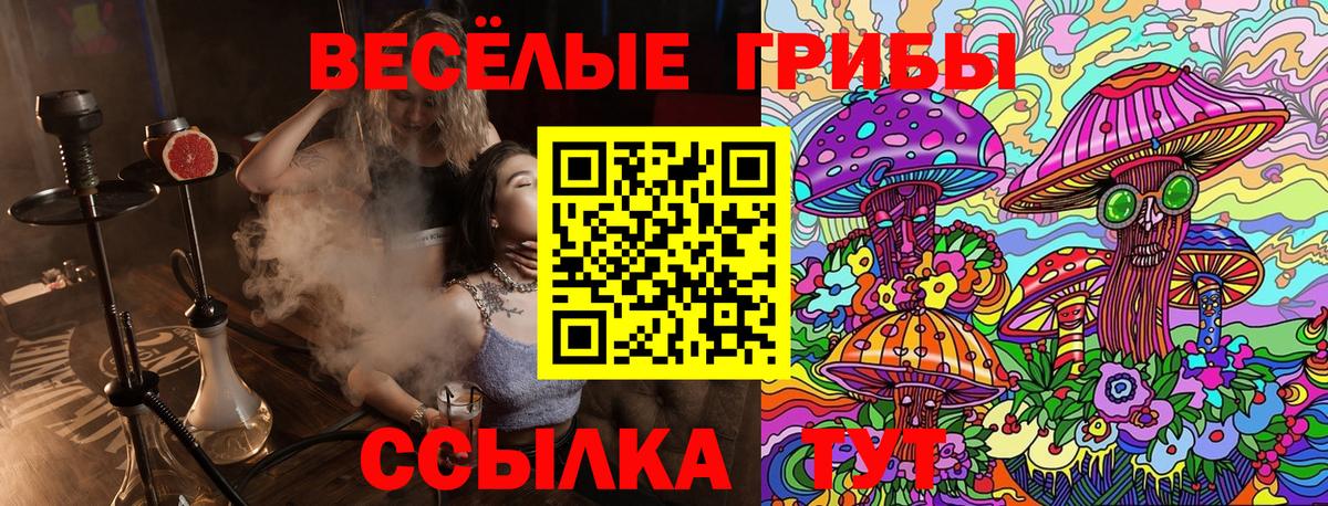 Псилоцибиновые грибы ЛСД Березники